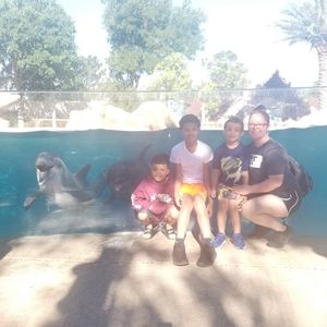 Meet your Posher, Regina